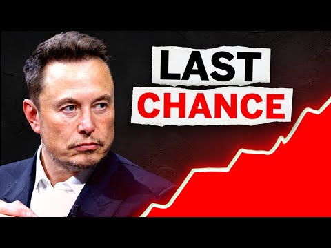 DON’T SAY YOU DIDN’T KNOW | Tesla Earnings Preview