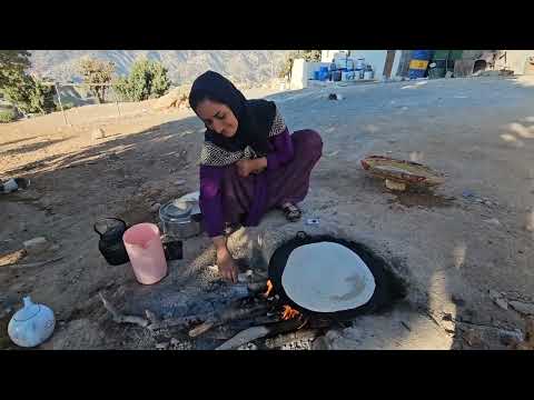 A Day in the Life of the Karoon Tribal Family: Harvesting Wild Pistachios in the Forest