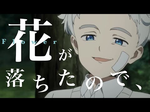 【MAD】約束のネバーランド × 花が落ちたので、【にんじん】