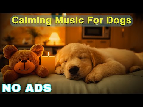 12 Hours of Dog Calming Music For Dogs 💖 Dog Separation Anxiety Music 🐶 Pet claming music🎵No Ads