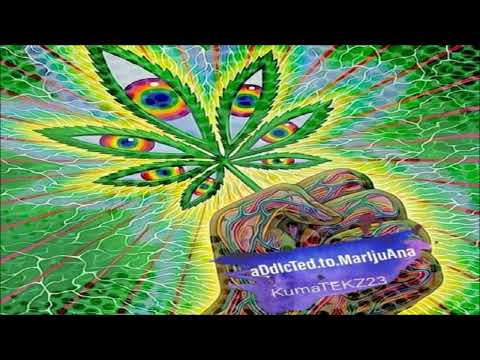 kumaTEKZ - aDdIcTed.To.MaRiJuAna