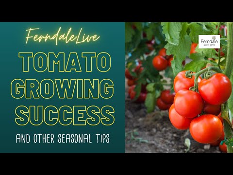 Tomato Growing and other spring growing tips.