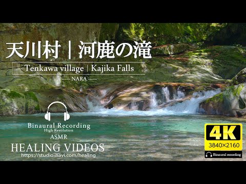 【癒し／自然音】天川村｜河鹿の滝｜バイノーラル録音（ハイレゾ）ASMR｜大自然がもたらす美しい清流と緑深まる森。日頃のストレスや疲れた心身の回復、勉強中や作業用、眠れない夜にもどうぞ。（途中広告なし）