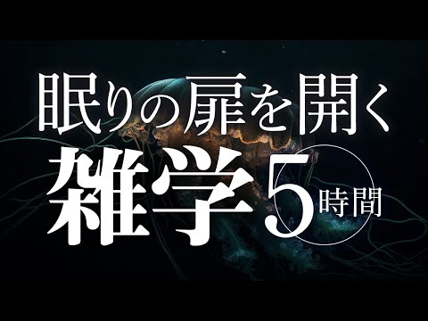 【睡眠導入】眠りの扉を開く雑学5時間【合成音声】