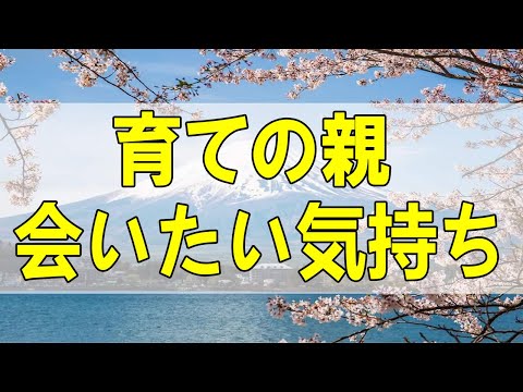 テレフォン人生相談🌻 今井通子 #人生相談 #アーカイブ 育ての親 会いたい気持ちが止まらない