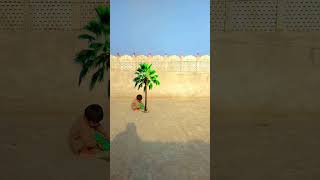 vfx magic tree growing funny video #vfx #magic #youtubeshorts #growingtree