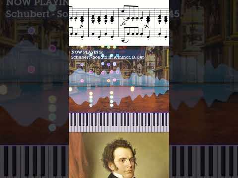 A bold marching theme in #Schubert's Piano Sonata, D.845 #classicalmusic #piano #classicalpiano