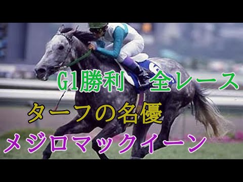 メジロマックイーン　G1勝利　全レース