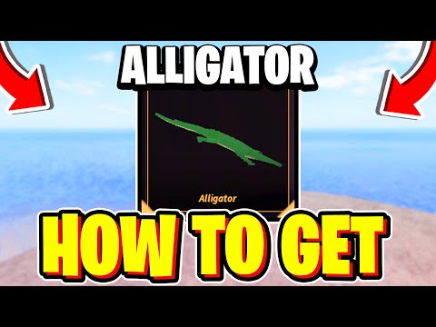 How To CATCH ALLIGATOR In Fisch! Roblox (Alligator Location)