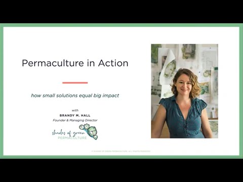 Workshop: Permaculture in Action