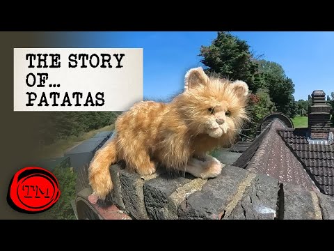 The Story Of… Patatas | Taskmaster