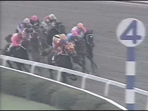 ヤマニンゼファー 1992年 羅生門ステークス(5歳以上1500万下) (優勝馬：ヤマニンゼファー)(実況：ラジオたんぱ)