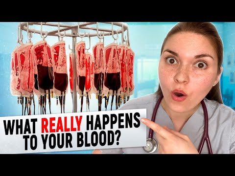 Doctor Explains: What REALLY Happens To Your Blood After Donating