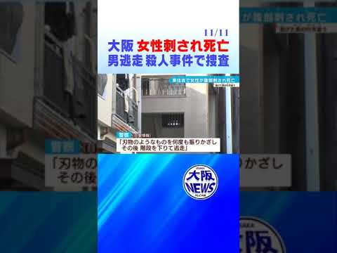 【助けて…助けて…】刃物のようなモノ振りかざす❗️女性刺され「死亡」黒い服の男逃走中‼️