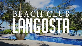 Langosta Beach Club: Costa Rica | Beachfront Bar & Restaurant