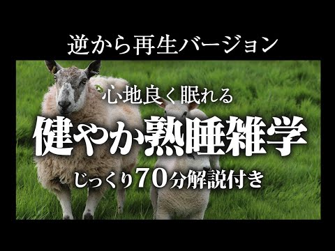 【逆から再生】健やか熟睡雑学【リラックス】面白いほど熟睡できる雑学をまとめました♪