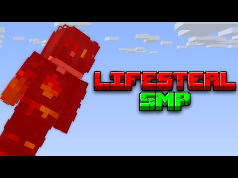 I Died on the Lifesteal SMP*