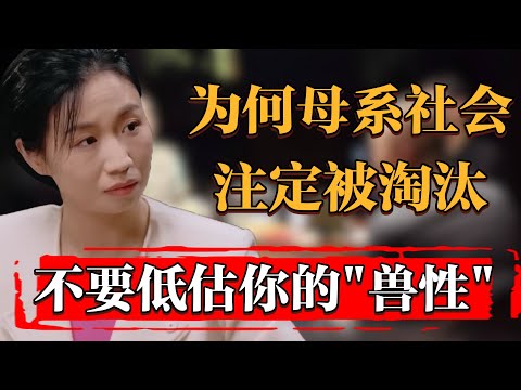 爲何母系社會注定被淘汰？不要低估了你的“獸性”#中国 #纪实 #时间 #窦文涛 #马未都  #圆桌派 #观复嘟嘟 #历史 #文化 #聊天