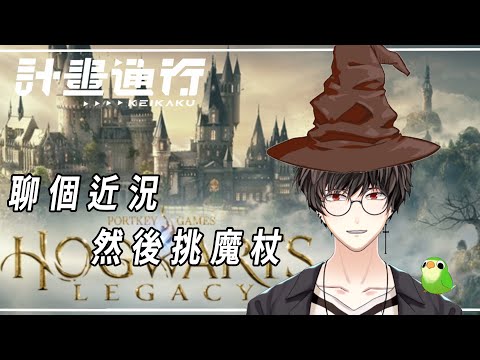 聊個近況 然後來選魔杖【計畫通行】