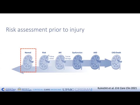 Reimagining Kidney Function Assessment Workshop