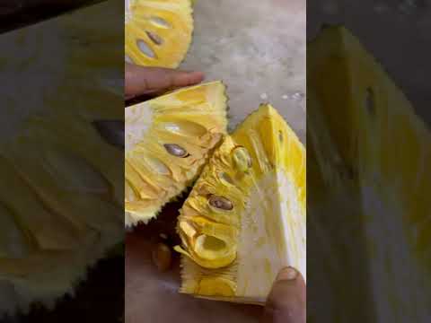 cambodian jackfruit