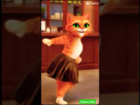 Beautiful cat dance😻💗#shorts #cat #catvideos #lovecats #catlover