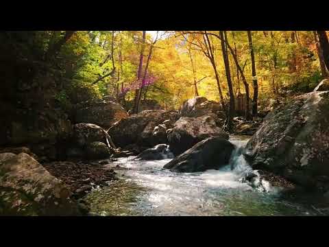 Beautiful Soft Instrumental Music | Water Sounds under Piano, Guitar & Violin