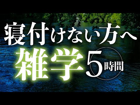 【睡眠導入】寝付けない方へ雑学5時間【合成音声】