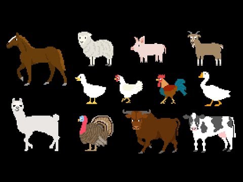 Farm Animals - Book Version - Old MacDonald - The Kids' Picture Show (Educational Learning Video)