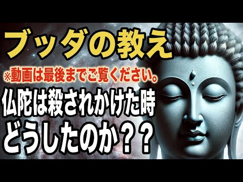 仏陀は殺されかけた時どうしたのか？｜ブッダの教え