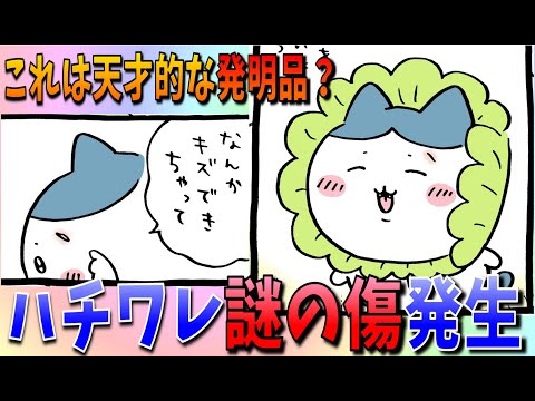 【ちいかわ】ハチワレに傷が！ひっかきガードを作るも本当に大丈夫か…【最新話感想考察】