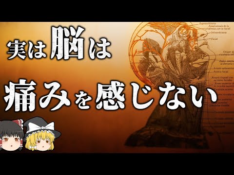 【雑学】実は人体でよく分かっていないこと 【ゆっくり解説】