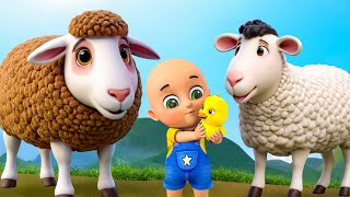 Baa Baa Brown & Black Sheep New Compilation | Old MacDonald | Nursery Rhymes & Kids Songs |Baby Bobo