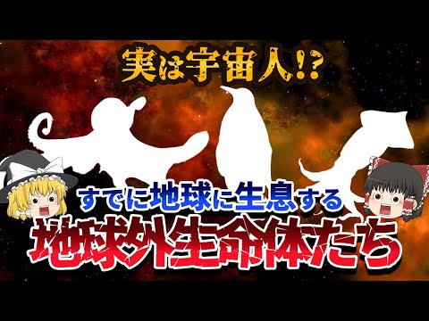 【ゆっくり解説】 地球にすでに生息しているエイリアン３選