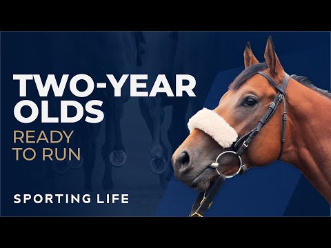 Two Year Olds: Ready To Run - Richard Fahey