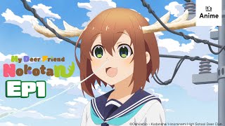 Full Episode 1 | My Deer Friend Nokotan | It's Anime［Multi-Subs］