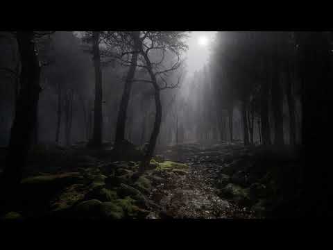 Misty Forest Night With Rain And Thunder | Rain & Thunder Sounds | 8 Hrs | Rain sounds for sleeping