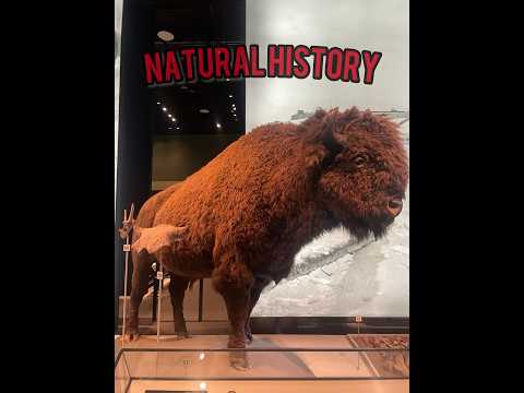 Natural History Visit #nature #naturelovers #naturalhistory