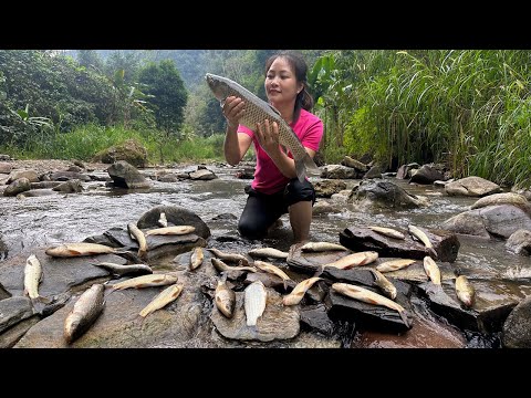 Block the Flow of Water to Catch Stream Fish - Great use of Leaves to Catch Fish Easily - Cooking