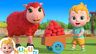 Baa baa black sheep + More Nursery Rhymes & Kids Songs  NuNu Tv