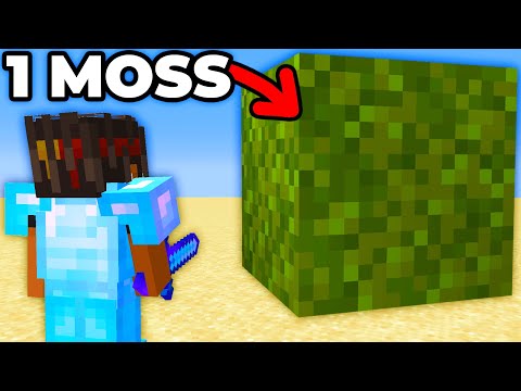 1 Moss Block VS Minecraft SMP...