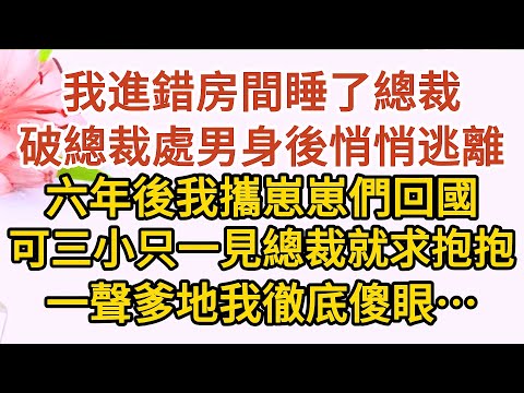 《三崽炸翻天》第01集：我進錯房間意外睡了總裁，破總裁處男身後悄悄逃離，六年後我攜崽崽們回國，可三小只一見總裁就求抱抱，一聲爹地我徹底傻眼……#戀愛#婚姻#情感 #愛情#甜寵#故事#小說#霸總