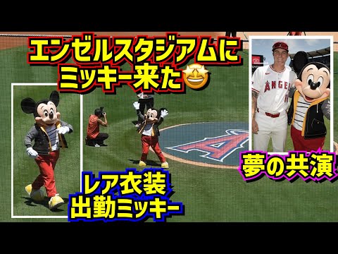 激レア‼️エンゼルスタジアムにミッキーマウス登場🤩出勤衣装でエンゼルスのミッキーと夢の共演🤣【現地映像】8/4エンゼルスvsメッツ