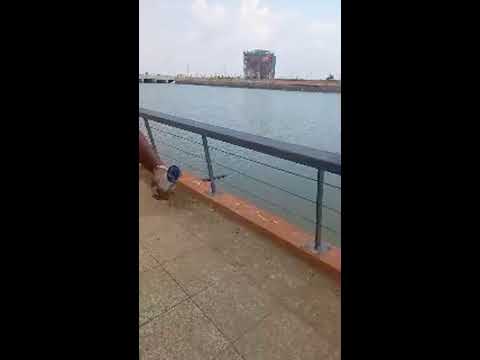 Dholera Live Silk Rout Park & River Front @7464950226