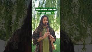 🌿Heart chakra vibrations for inner peace | Flute harmony | Healing sound 》#shorts