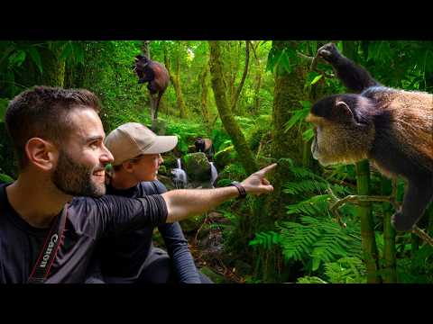 Trekking Deep Inside the Rwandan Bamboo Forest