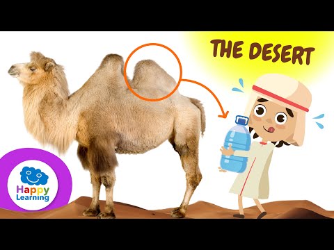 CURIOSITIES ABOUT DESERTS | Happy Learning 🏜️ 🐪