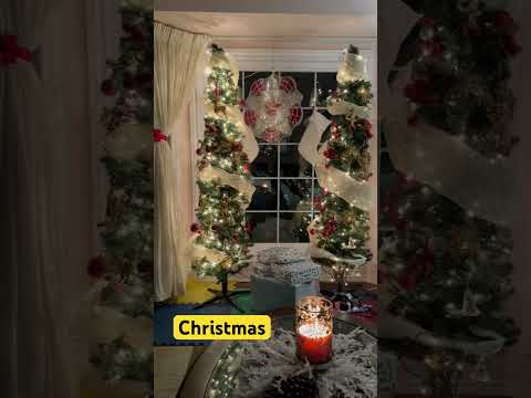 #christmas #shortvideo #highlights #everyone  #view #friends