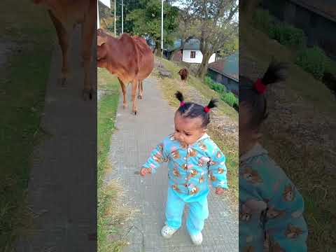 लड्डू गाय माता से बात कर रही हैं #dance #song #newsong #punjabi #cutebaby #babylaughing #cute#shorts