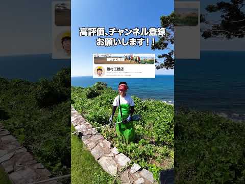 草刈り右左どっちしてみた！！